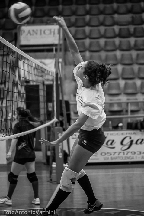 _DSC8747