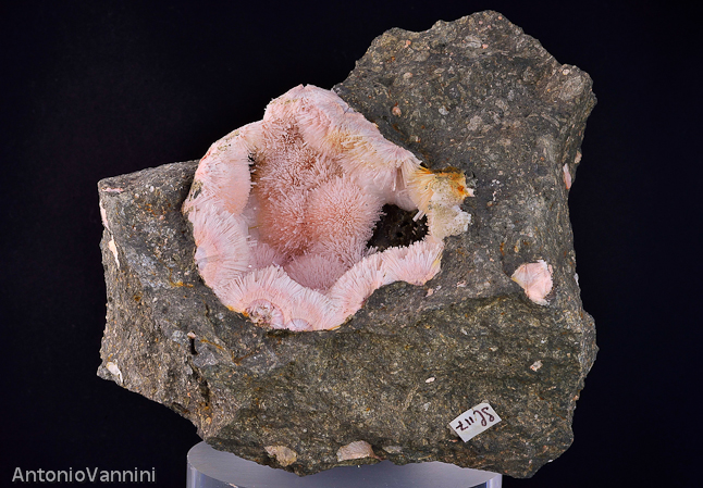 Natrolite del Trentino