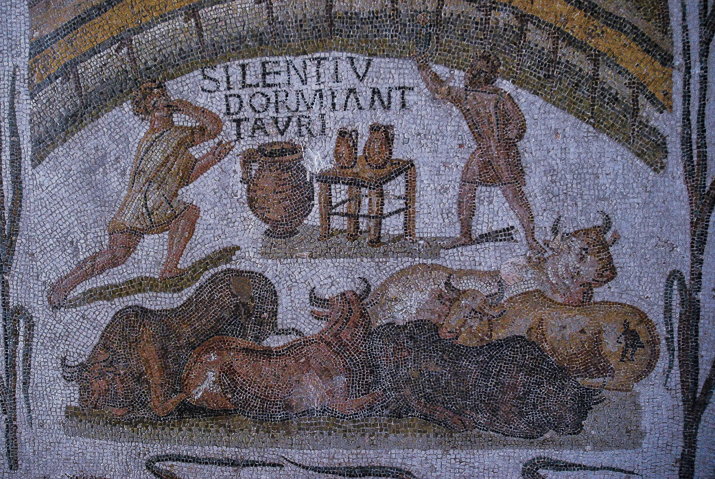 i tori di tunisi svegliati con orrore