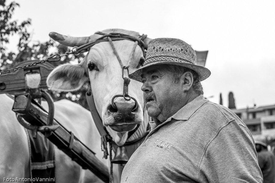 _DSC7314-2