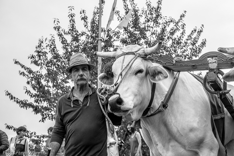 _DSC7317-2