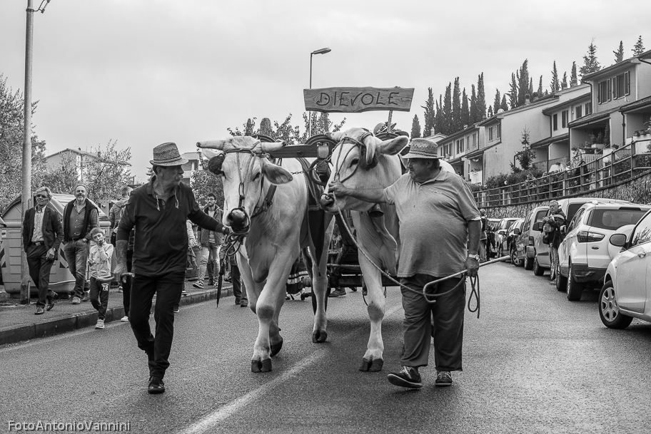 _DSC7325
