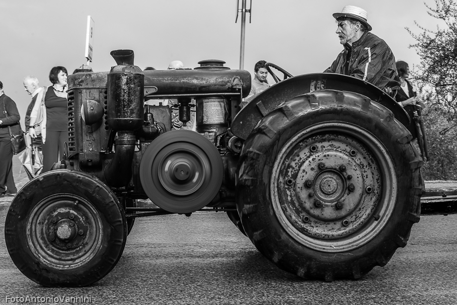 _DSC7331