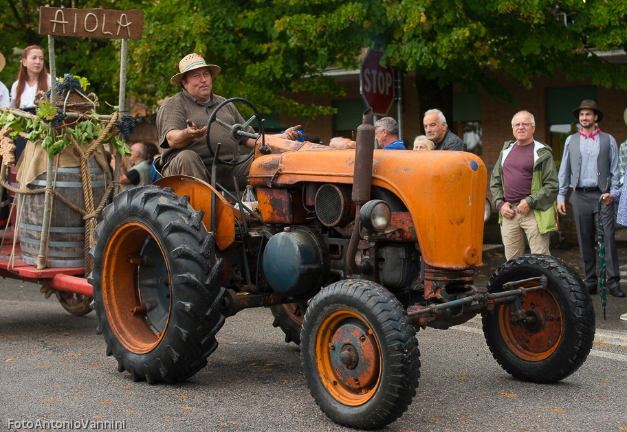 _DSC7356